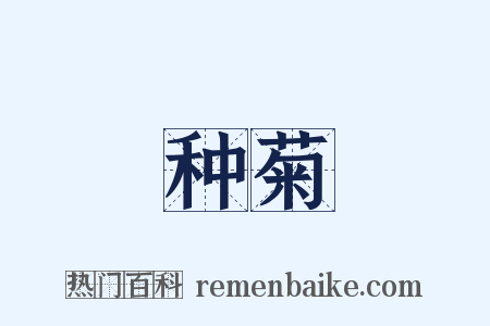 种菊是什么意思的图片